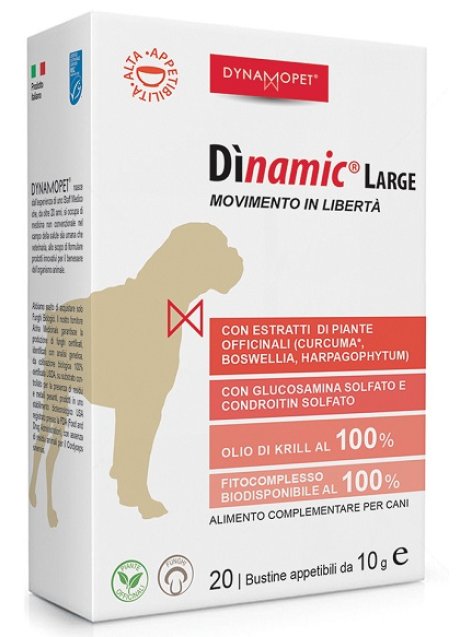 DINAMIC LARGE 20BUST 10G