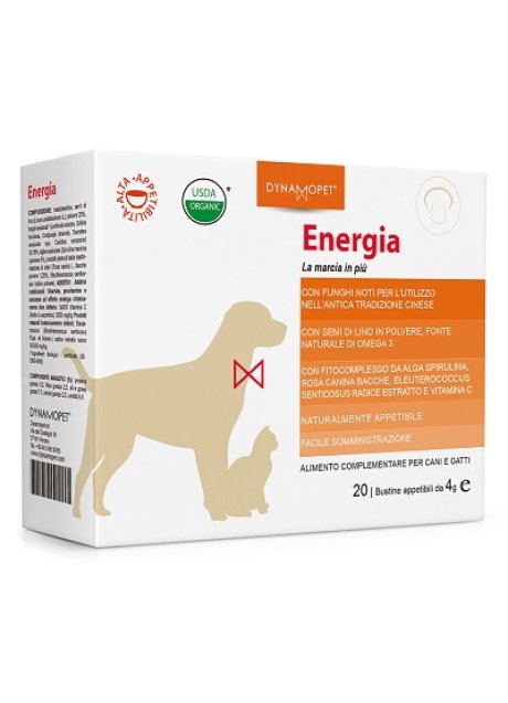 ENERGIA 20BUST 4G