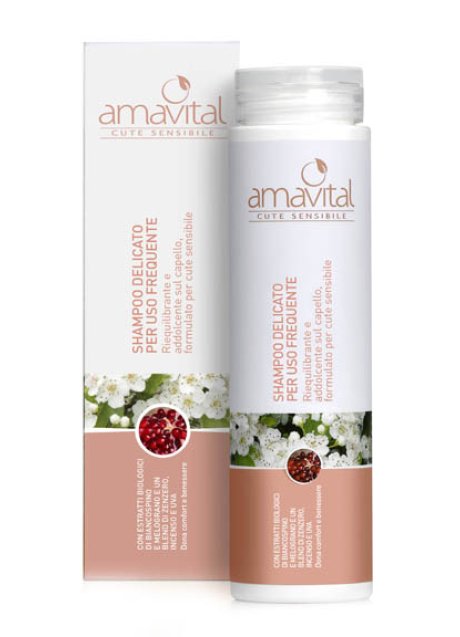 AMAVITAL SHAMPOO DEL USO FREQ