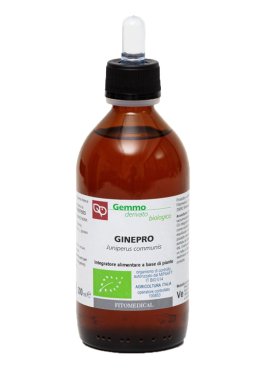 GINEPRO MG BIO 200ML