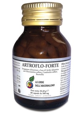 ARTROFLO FORTE 60CPS