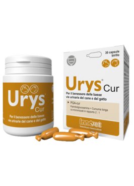 URYS CUR 30 CAPSULE BIRILLO