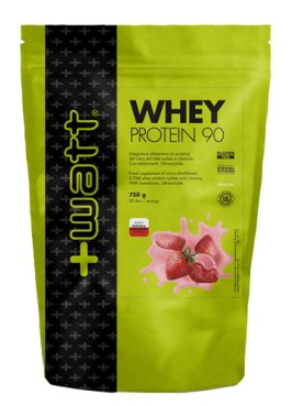 WHEY PROTEIN 90 FRA 750G DOYPA