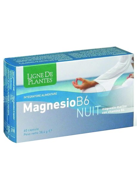 MAGNESIO B-6 NUIT 72CPS