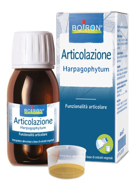 HARPAGOPHYTUM EI 60ML INT BO