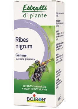 RIBES NIGRUM MG 60ML INT BO