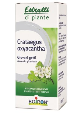 CRATAEGUS OXY MG 60ML INT BO