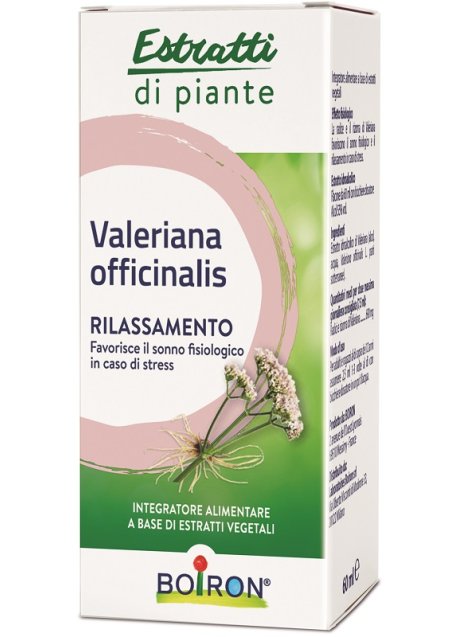 VALERIANA OFF EI 60ML INT BO