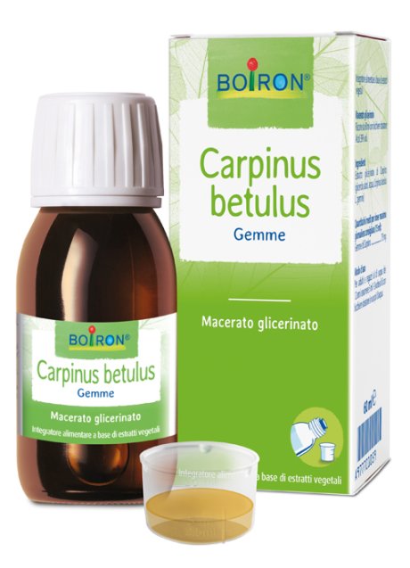 CARPINUS BETULUS MG 60ML INT BO