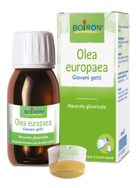 OLEA EUROPAEA MG 60ML INT