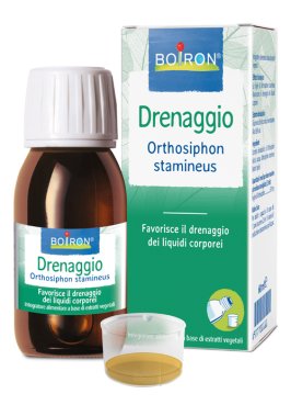 ORTHOSIPHON STA EI 60ML INT BO