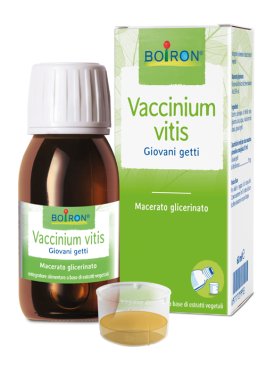 VACCINIUM VITIS MACERATO GLICERICO 60 ML INT