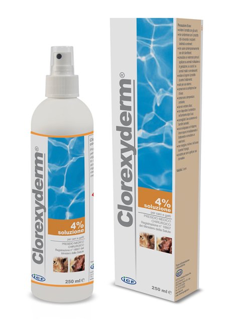 CLOREXYDERM SOLUZIONE 4% 250 ML