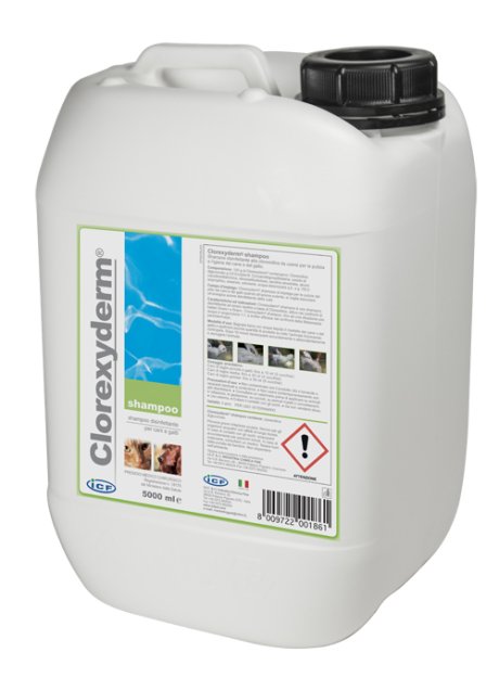 CLOREXYDERM SHAMPOO 5L