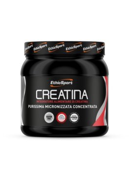 CREATINA POLVERE 300GR ETHICSPOR