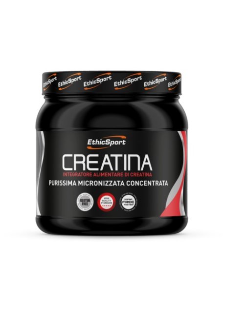 CREATINA POLVERE 300GR ETHICSPOR