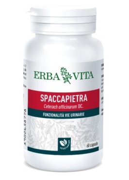 SPACCAPIETRA 60CPS