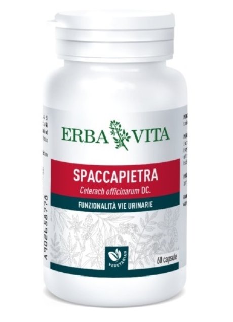 SPACCAPIETRA 60CPS