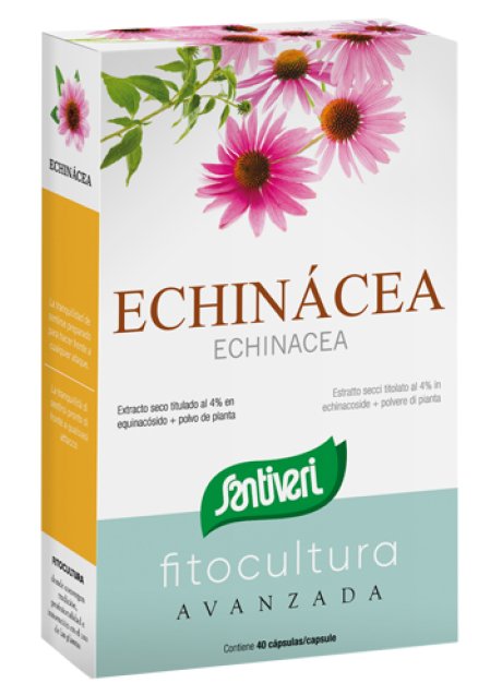 FITOCULTURA ECHINACEA 40CPS