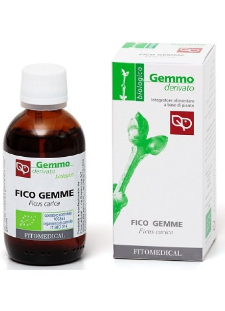 FICO GEMME MG BIO 50ML FTM