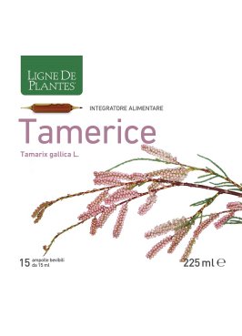 TAMERICE 15AMPOLLE