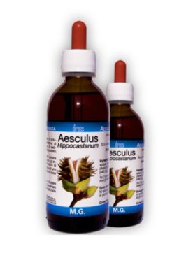 AESCULUS HIPPOCAST MG 150ML