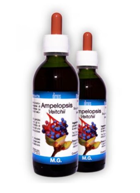 AMPELOPSIS VEITCHII 50ML MG