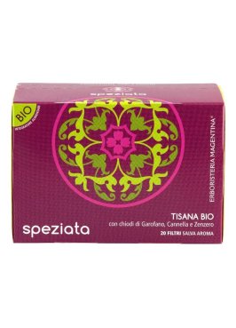 TISANA SPEZIATA BIO 20FILT