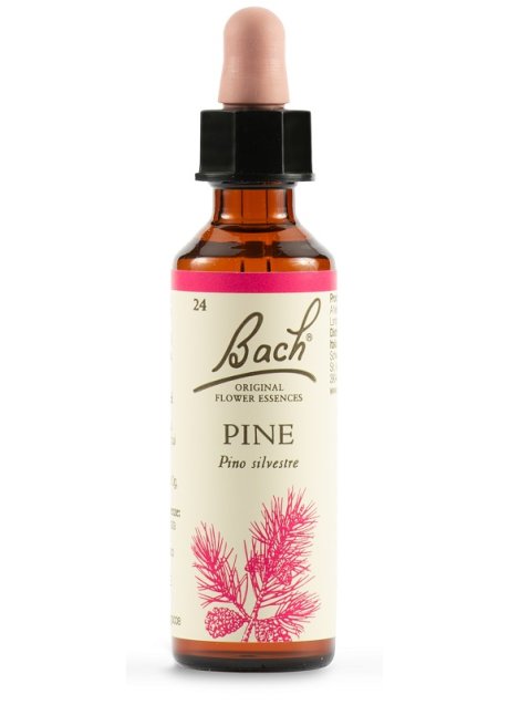 BACH PINE ORIG 20ML