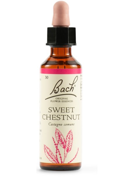 BACH SWEET CHEST BACH ORIG 20ML