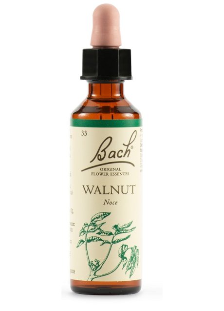 BACH WALNUT ORIG 20ML