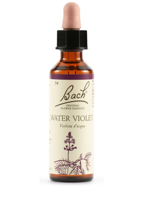 WATER VIOL BACH ORIG 20ML