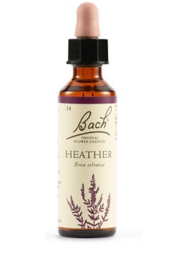 HEATHER BACH ORIG 20ML