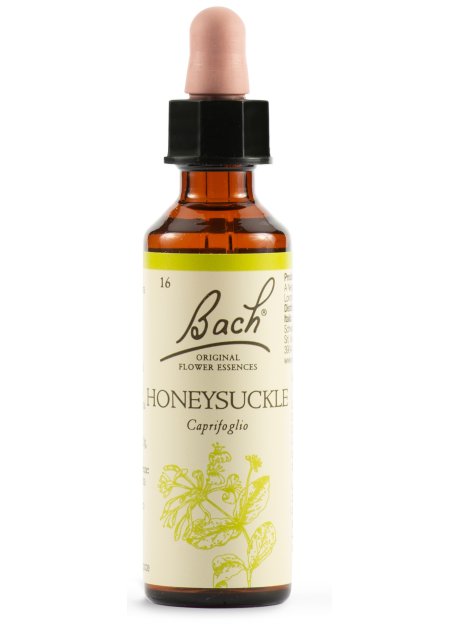 HONEYSUCKLE BACH ORIG 20ML