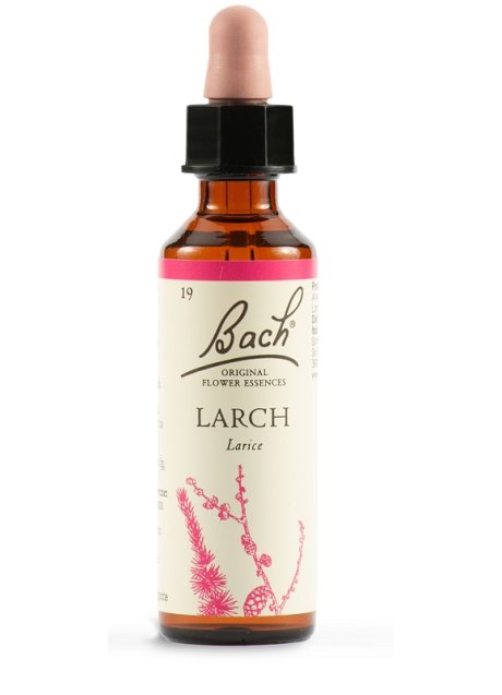 BACH LARCH ORIG 20ML