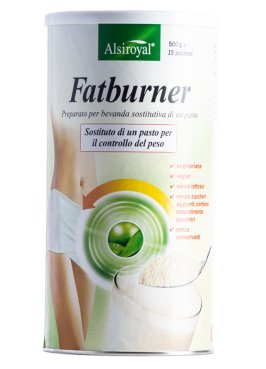 FATBURNER 500G