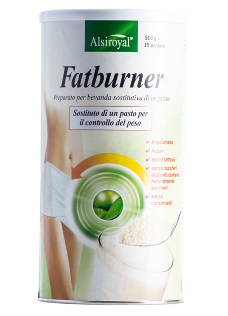 FATBURNER 500G