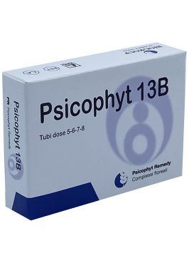 PSICOPHYT 13/B 4TB