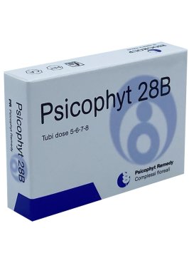 PSICOPHYT REMEDY 28B 4TUB 1,2G