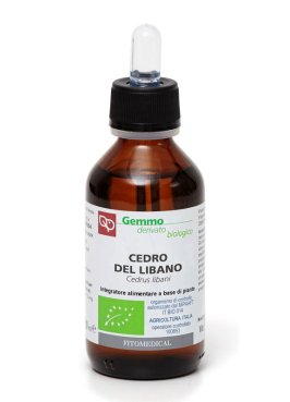 CEDRO DEL LIBANO MG BIO 100M FTM