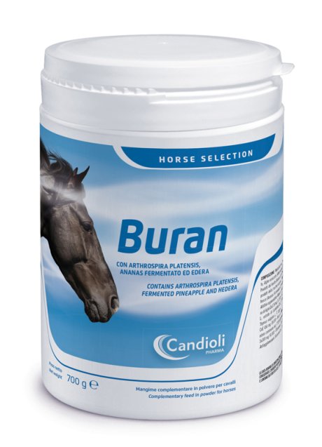 BURAN 700 GR