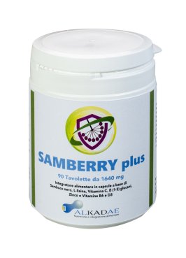 SAMBERRY PLUS 90TAV