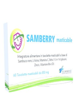 SAMBERRY MASTICABILE 60TAV (SO