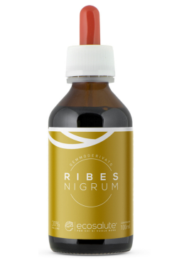 RIBES NIGRUM GEMMODERIV 100ML