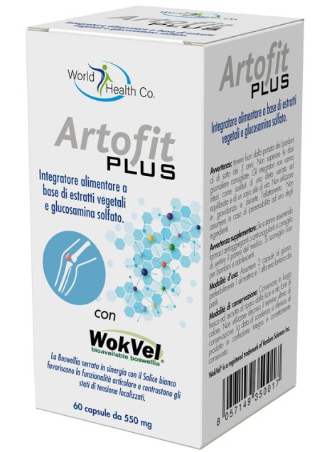 ARTOFIT PLUS 60CPS