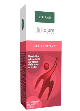 SILICIUM FLEX GEL 100ML