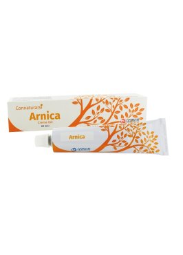 ARNICA CREMA GEL 60G UNDA