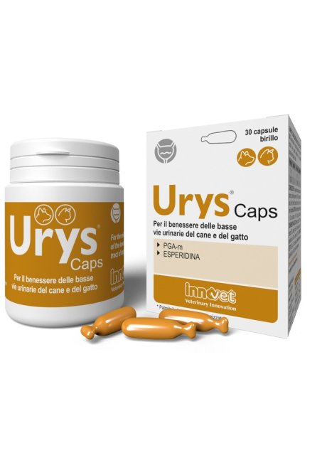 URYS CAPS 30CPS