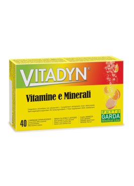 VITADYN VITAMINE/MIN 40CPR EFF