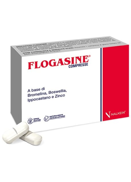 FLOGASINE 20 COMPRESSE